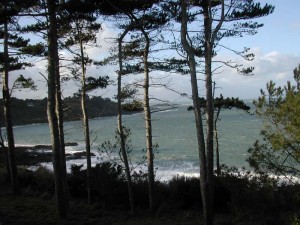 un lieu où raconter des histoires