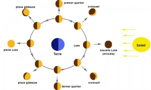 Les phases de la Lune