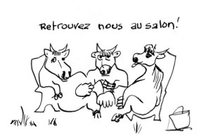 impromptus entre vaches