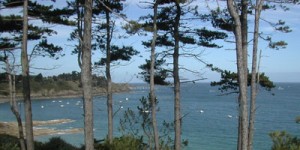 la pointe du décollé