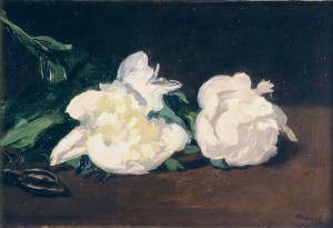 Branche de pivoine blanche et sécateur d'Édouard Manet - Musée d'Orsay