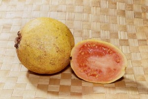 Goyave © Secrets de plantes