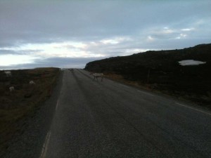 Rennes sur la route du Cap Nord