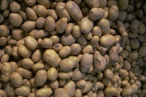 patates