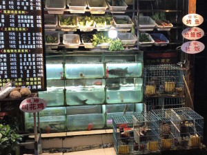 CONGJIANG26oct_09