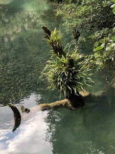 DAQIKONG23oct_26