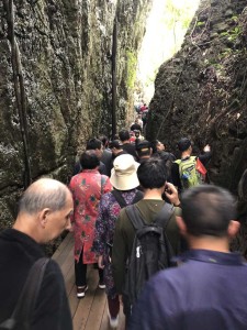 Huanggoshu