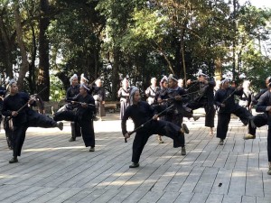 guerriers Basha - Guizhou